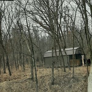 Meet your Posher, Carrie